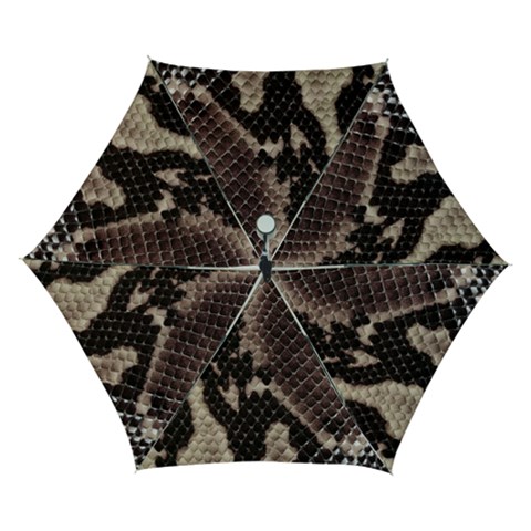 Snake Skin, Reptile Skin, Snake Skin Textures, Brown Snake Automatic Folding Umbrella with Case (Small) from ArtsNow.com