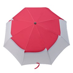 Folding Umbrella 