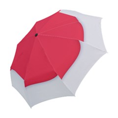 Folding Umbrella 