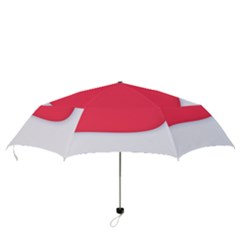 Folding Umbrella 