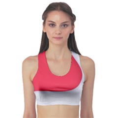 Fitness Sports Bra 