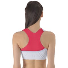 Fitness Sports Bra 