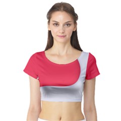 Short Sleeve Crop Top 