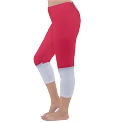 Capri Winter Leggings  Back