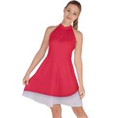 Sleeveless Halter Neck A-Line Dress 