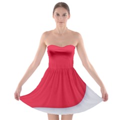 Strapless Bra Top Dress 