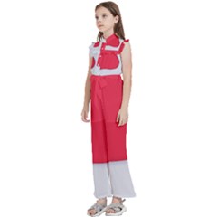 Kids  Sleeveless Ruffle Edge Band Collar Chiffon One Piece 