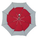 Automatic Folding Umbrella with Case (Medium) 