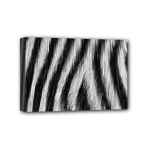 Zebra Texture, Zebra Wool, White Black Background Mini Canvas 6  x 4  (Stretched) from ArtsNow.com