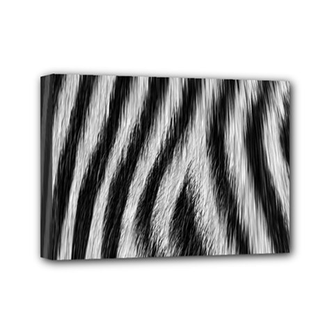 Zebra Texture, Zebra Wool, White Black Background Mini Canvas 7  x 5  (Stretched) from ArtsNow.com