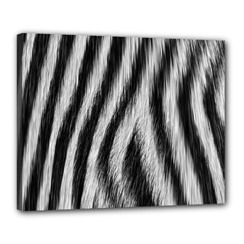 Zebra Texture, Zebra Wool, White Black Background Canvas 20  x 16  (Stretched) from ArtsNow.com