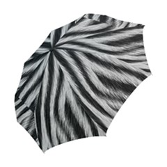 Folding Umbrella 