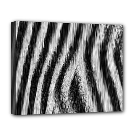 Zebra Texture, Zebra Wool, White Black Background Deluxe Canvas 20  x 16  (Stretched) from ArtsNow.com