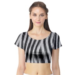 Short Sleeve Crop Top 