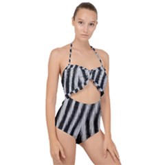 Scallop Top Cut Out Swimsuit 