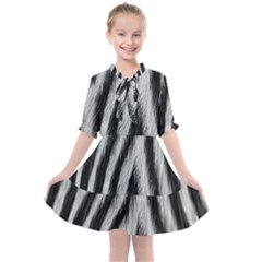 Kids  All Frills Chiffon Dress 