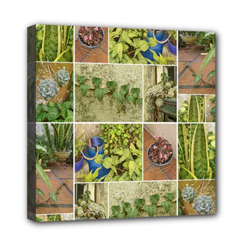 Garden Sanctuary Photo Collage Print Mini Canvas 8  x 8  (Stretched) from ArtsNow.com