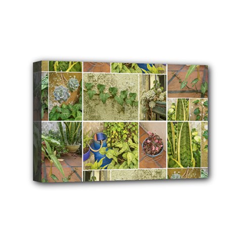 Garden Sanctuary Photo Collage Print Mini Canvas 6  x 4  (Stretched) from ArtsNow.com