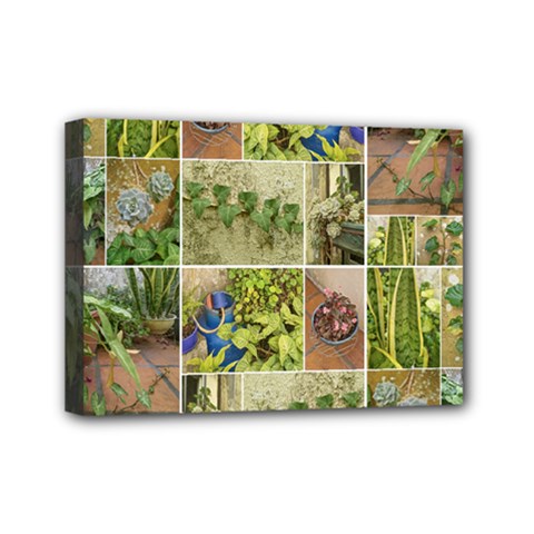 Garden Sanctuary Photo Collage Print Mini Canvas 7  x 5  (Stretched) from ArtsNow.com