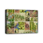 Garden Sanctuary Photo Collage Print Mini Canvas 7  x 5  (Stretched)