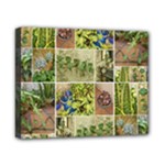 Garden Sanctuary Photo Collage Print Canvas 10  x 8  (Stretched)