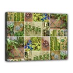 Garden Sanctuary Photo Collage Print Canvas 16  x 12  (Stretched)