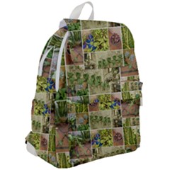 Top Flap Backpack 