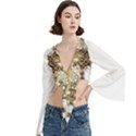 Trumpet Sleeve Cropped Top 