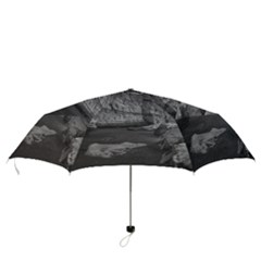 Folding Umbrella 