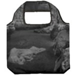 Timeless Shores, Las grutas beach, Rio negro, Argentina Foldable Grocery Recycle Bag