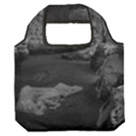 Timeless Shores, Las grutas beach, Rio negro, Argentina Premium Foldable Grocery Recycle Bag