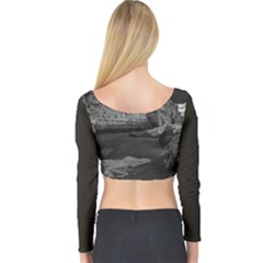 Long Sleeve Crop Top 