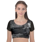 Timeless Shores, Las grutas beach, Rio negro, Argentina Velvet Short Sleeve Crop Top 