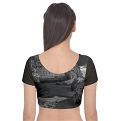 Velvet Short Sleeve Crop Top  