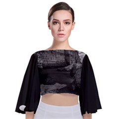 Tie Back Butterfly Sleeve Chiffon Top 