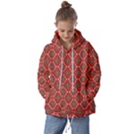 Illustrations Ajrak Abstract Design Pattern Kids  Oversized Hoodie