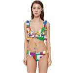 Colorful Bricks, Bricks, Colorful, Colors, Games, Lego, Rainbow Low Cut Ruffle Edge Bikini Set