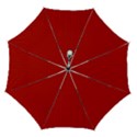 Automatic Folding Umbrella with Case (Medium) 