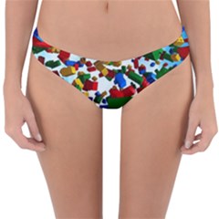 Reversible Hipster Bikini Bottoms 