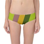 Autumn Harmony Geometric Style Print  Classic Bikini Bottoms