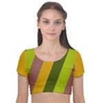 Autumn Harmony Geometric Style Print  Velvet Short Sleeve Crop Top 