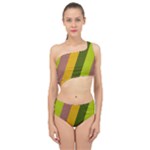 Autumn Harmony Geometric Style Print  Spliced Up Two Piece Swimsuit