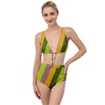 Autumn Harmony Geometric Style Print  Tied Up Two Piece Swimsuit