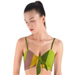 Autumn Harmony Geometric Style Print  Woven Tie Front Bralet