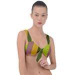 Autumn Harmony Geometric Style Print  Front Tie Bikini Top