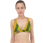 Autumn Harmony Geometric Style Print  Classic Banded Bikini Top