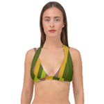 Autumn Harmony Geometric Style Print  Double Strap Halter Bikini Top