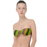 Autumn Harmony Geometric Style Print  Classic Bandeau Bikini Top 