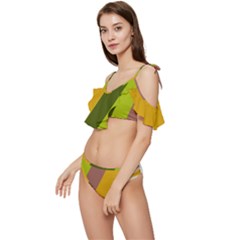 Ruffle Edge Tie Up Bikini Set	 