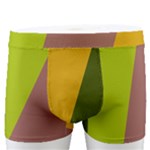 Autmn Stripes Colors Geometric Print Design Men s Boxer Briefs